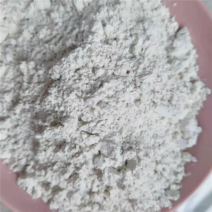 diatomite853fc65d-f6eb-4a90-869c-6c3136a7175a.webp